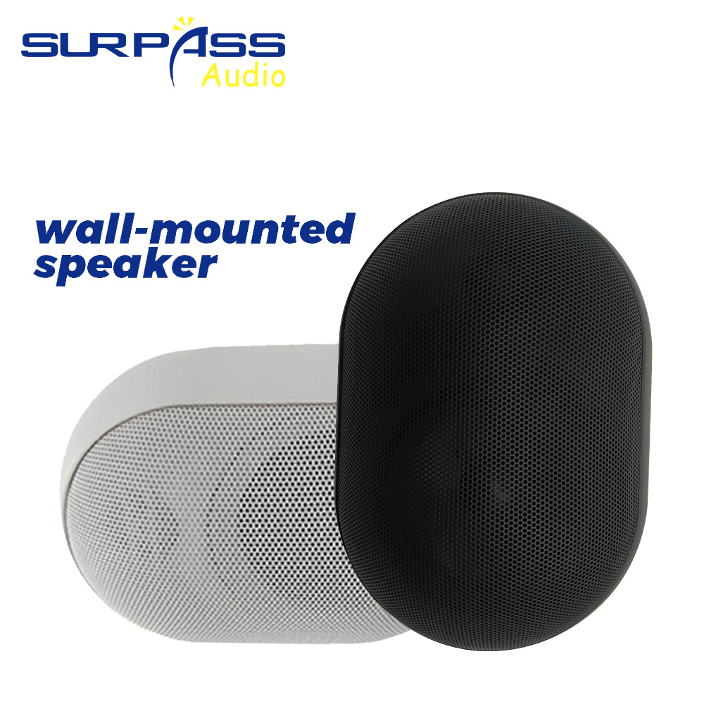 Audio Music Background Free - 30W 壁掛けスピーカー 防水 IP55 公共放送システム オーディオ