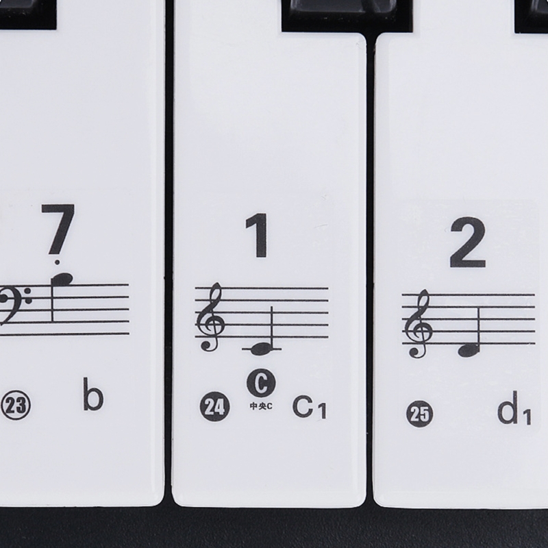 透明な取り外し可能なピアノキーボードステッカー、薄くてカラフ - Keyboard Piano 61 Key のレビューと価格