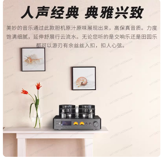220V 400W * 2 ハイファイワイヤレス真空管パワー - Audio Music Youtube のレビューと価格