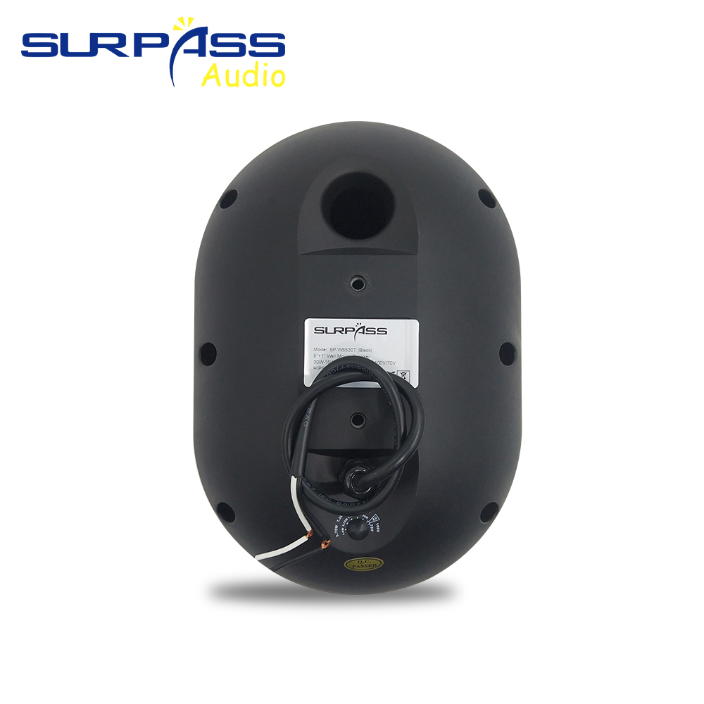 30W 壁掛けスピーカー 防水 IP55 公共放送システム  - Audio Music Background Free のレビューと価格